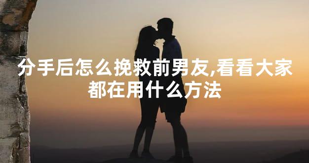 分手后怎么挽救前男友,看看大家都在用什么方法