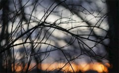 道教的夫妻和合术可以帮助我们快速感情化解矛盾  