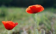 如何婚姻和合术，正确的方法才能帮助挽回对方