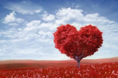 爱情和合符管用吗 没用可能在这个原因