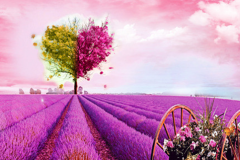 挽回男人的话语有哪些？  