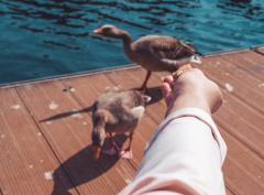 30多岁夫妻感情淡了 为什么年纪越大夫妻感情越淡