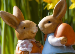 夫妻之间怎么调动情感，夫妻相处之道