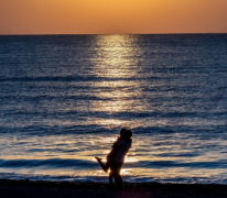 夫妻怎么交往更合适呢？如何发掘夫妻交往的艺术