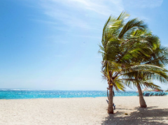 订婚了可以一起睡觉吗？订婚后的睡眠安排引发热议！