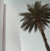 女友要如何挽回？挽回女朋友的话术有哪些？