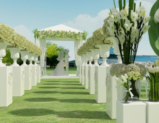 绿色婚礼的吸引力：草坪婚姻适合多少人？