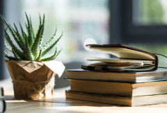 你知道教育孩子的书籍排行榜前十名有哪些吗？为什么是这十本书？