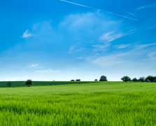 前男友死心了怎么挽回，挽回死心前男友的4个方法