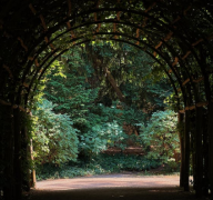 恋爱三观指的是什么什么样的人才适合谈恋爱