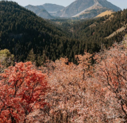 ﻿恋爱小课堂，追女生需要做哪些事情