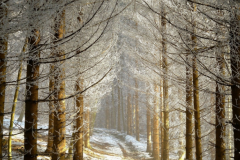 我生气男朋友不哄我，男生在情侣摩擦之时要主动