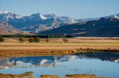 相亲男女交往多久牵手合适，4个小建议值得收藏