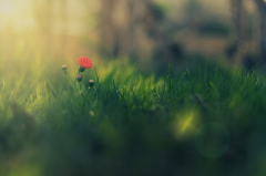 ﻿为什么怀孕二胎比一胎累，这几个问题是根源