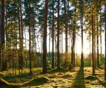 ﻿二婚不可怕，可怕的是心不齐