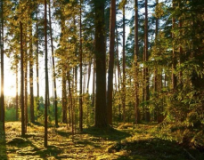 ﻿婚姻改变命运是真的吗这种说法是否成立