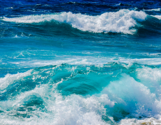 ﻿捕捉幸福瞬间：婚姻跟拍怎么选？