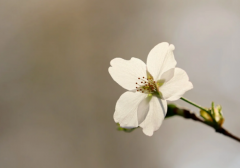 去哪里做婚前检查 婚前检查包括哪些项目
