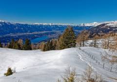 跟着亲戚做生意好不好,要不要考虑