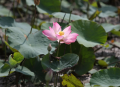 金钱买婚姻会幸福吗 会带来什么影响