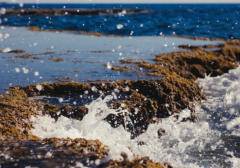 异地恋成功率高吗，导致异地恋分手的原因