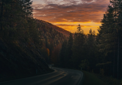 异性缘好同性缘不好的女生这样做，提高人气