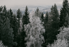 亲子教育的意义 父母对孩子的教育很重要