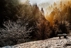 什么是金秀婚姻 如何才能拥有这种婚姻