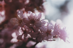 怎样的男人适合结婚 寻找命中注定的那个他