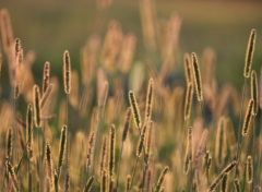 女性婚姻幸福的保障 现代婚姻观念的不断改变 