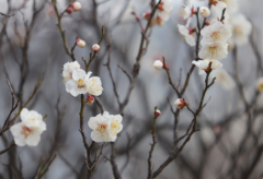 离婚后如何挽回对方的心 挽回对方前一定要保持冷静