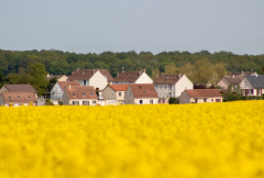 致闺蜜结婚的暖心句子，温馨的句子来祝贺闺蜜的婚礼