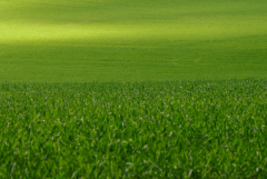 异地恋吵架了怎么办，吵架后怎么和好