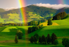 金星说的关于婚姻的话，金星觉得婚姻中什么更重要