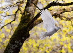爱情攻略之女朋友心情不好，怎么哄女朋友