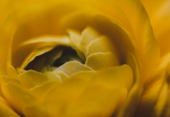 男生恋爱心理 坠入爱河的男生都在想什么