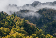 去哪里拍结婚证件照好 了解相关的结婚登记事项