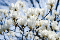 婆媳怎么样相处能和谐,婆媳之间的和谐怎么构造