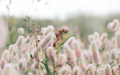 女朋友误会我出轨要分手怎么哄 应该好好解释并做好保证