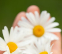 金华婚姻介绍所,寻找爱情的平台