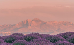 以结婚为目的的恋爱,需要了解哪些信息