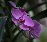 和男朋友吵架 吵架之后情绪调节