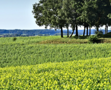 挽回男人的心从这几点开始 不要过于着急