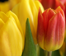 为什么异地恋容易吵架,都是缺乏信任惹的祸