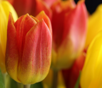 什么时候进行情感挽回 情感挽回好的时间