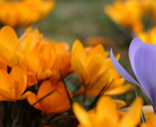 和女友昨天分手很难过怎样挽回她,挽回女友的3个绝招