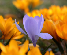 异地恋怎么关心女朋友,爱就勇敢表达出来