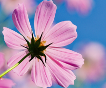 异地恋该如何保持新鲜感 维护一段爱情的技巧