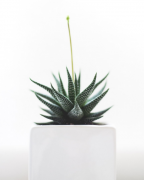 怎样挽回男友的心的方法 需要看分手原因解决存在问题