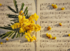 结婚照挂哪风水好